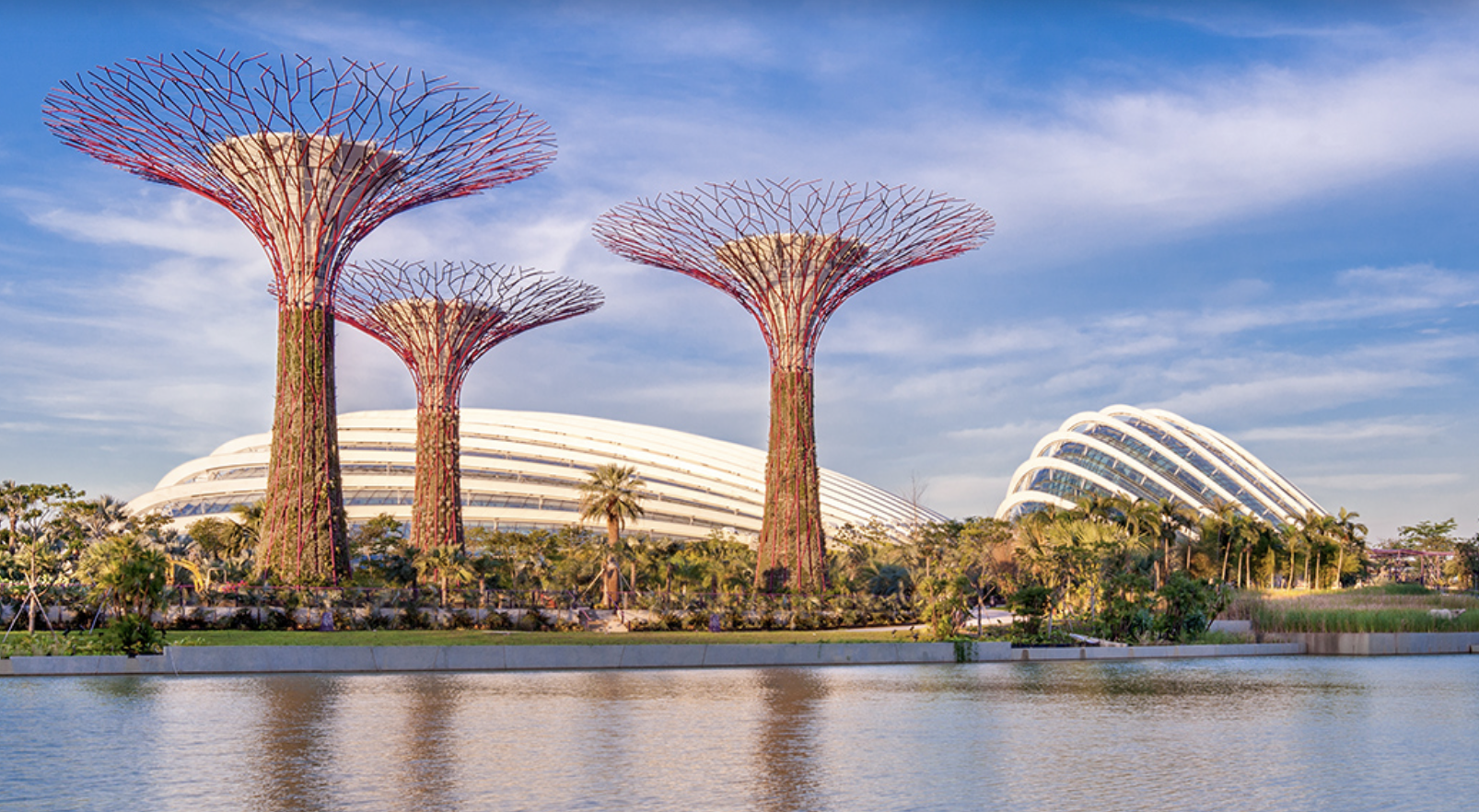 gardens by the bay, singapore